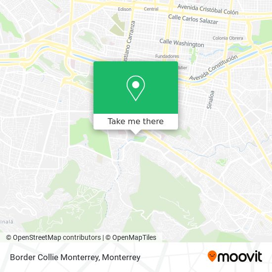 Border Collie Monterrey map
