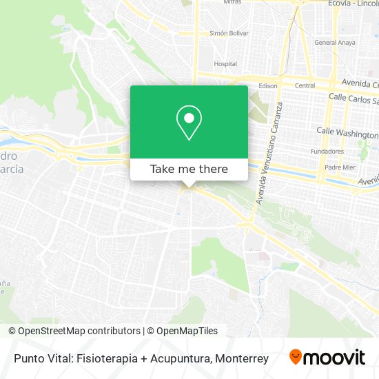 Punto Vital: Fisioterapia + Acupuntura map