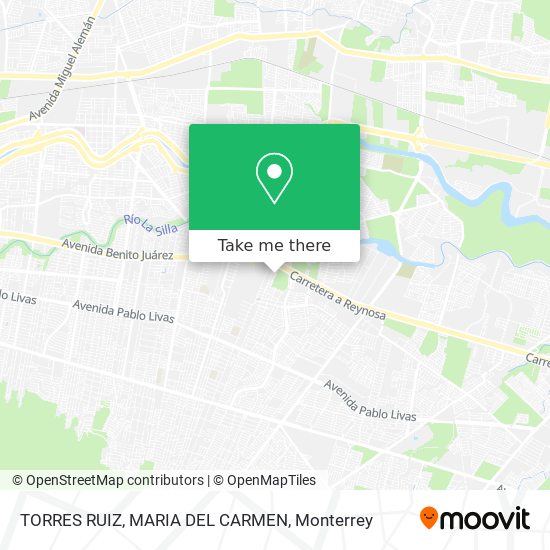 TORRES RUIZ, MARIA DEL CARMEN map