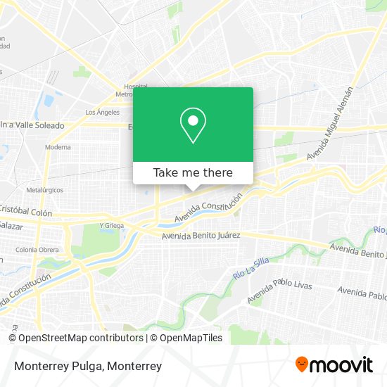 Mapa de Monterrey Pulga