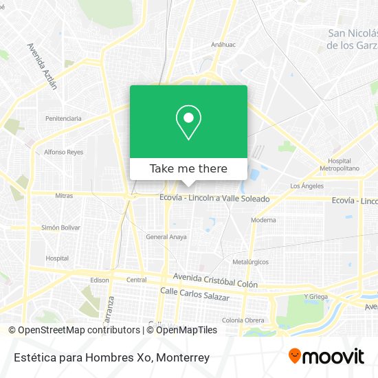 Mapa de Estética para Hombres Xo