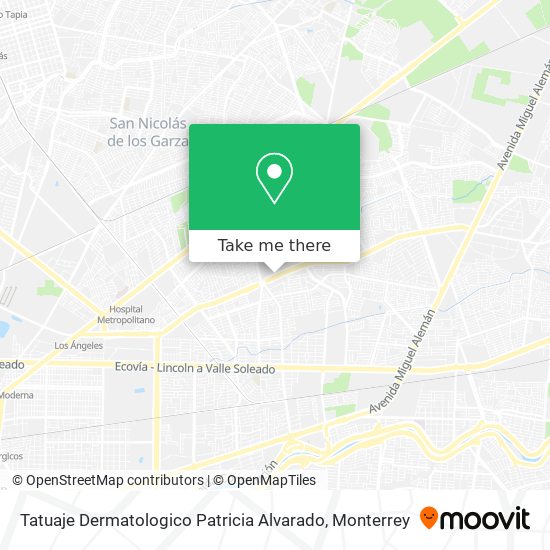 Mapa de Tatuaje Dermatologico Patricia Alvarado