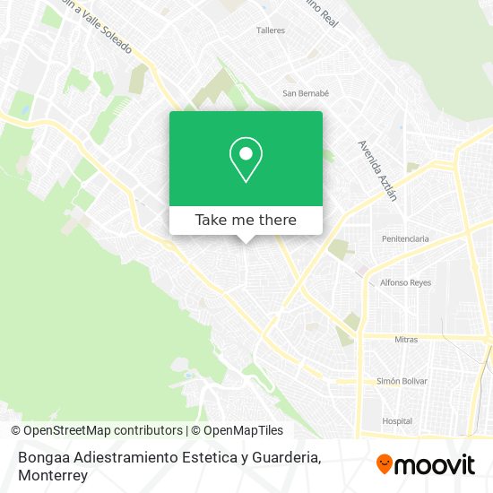Bongaa Adiestramiento Estetica y Guarderia map