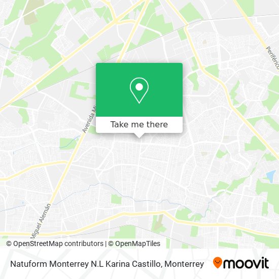 Mapa de Natuform Monterrey N.L Karina Castillo