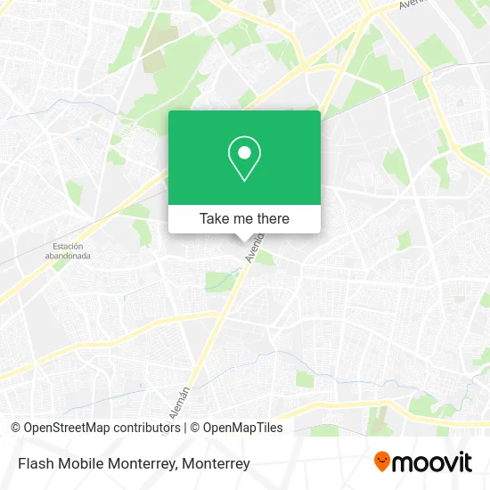 Flash Mobile Monterrey map