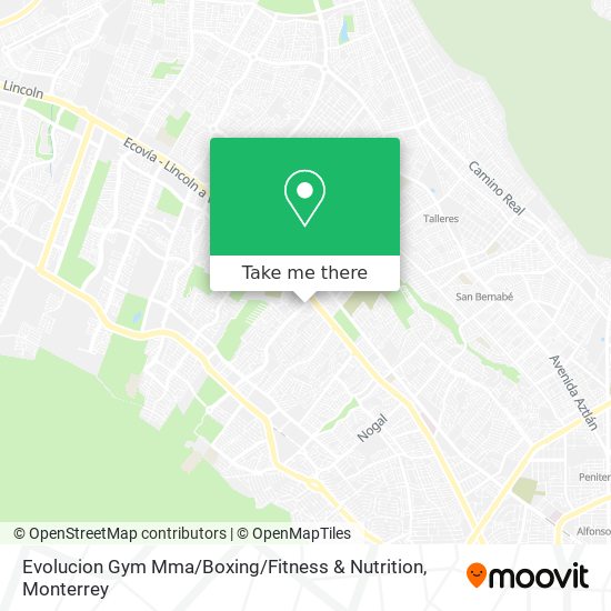 Mapa de Evolucion Gym Mma / Boxing / Fitness & Nutrition