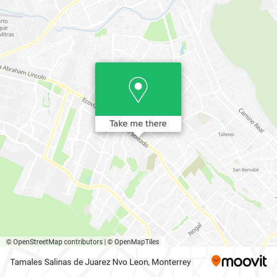 Tamales Salinas de Juarez Nvo Leon map
