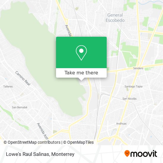 Lowe's Raul Salinas map