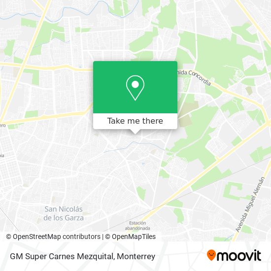 GM Super Carnes Mezquital map