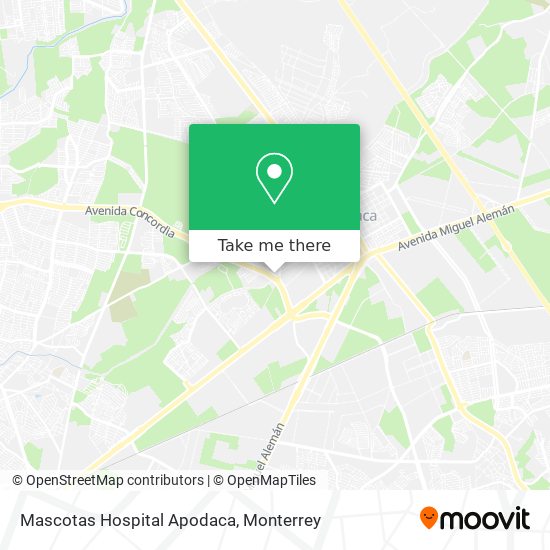 Mascotas Hospital Apodaca map