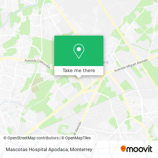 Mascotas Hospital Apodaca map