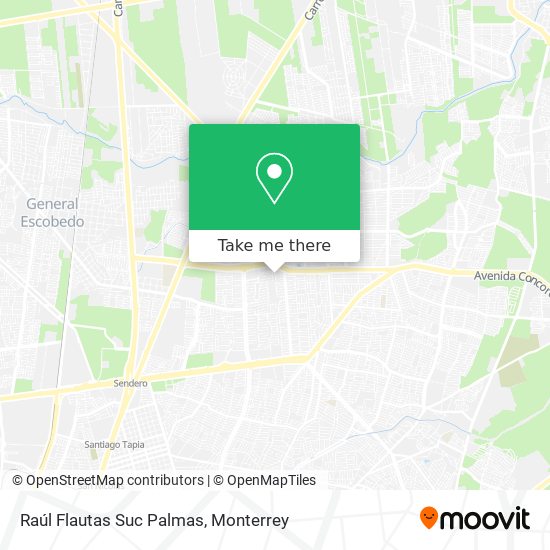 Raúl Flautas Suc Palmas map