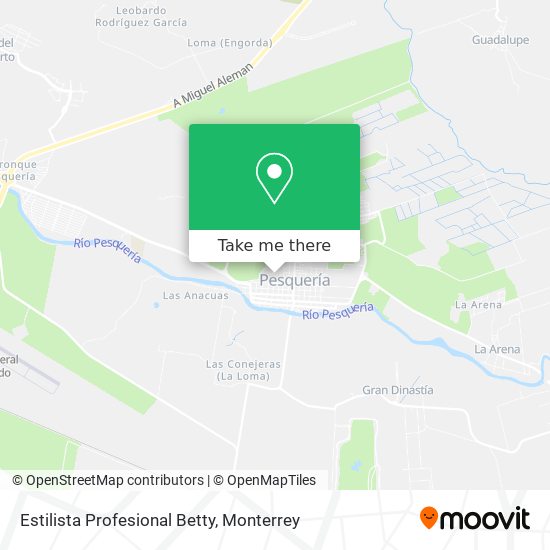 Mapa de Estilista Profesional Betty