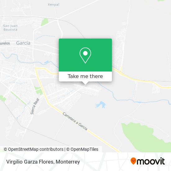 Mapa de Virgilio Garza Flores