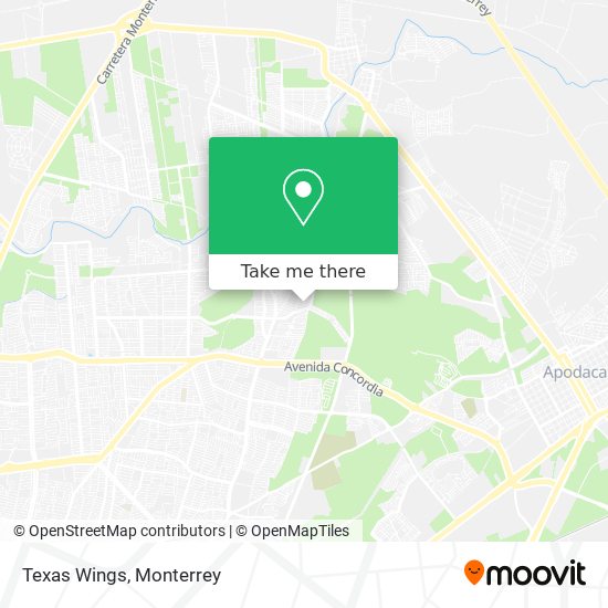 Texas Wings map