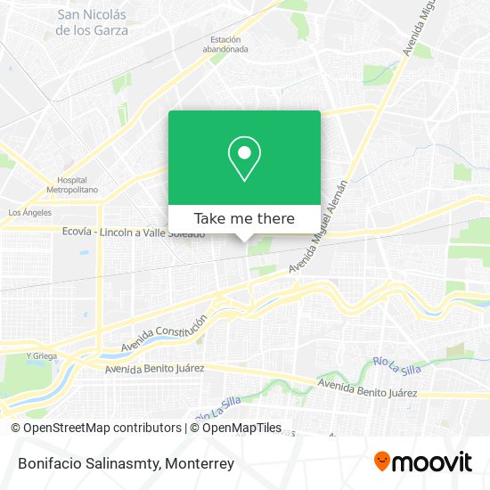 Bonifacio Salinasmty map