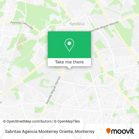 Sabritas Agencia Monterrey Oriente map