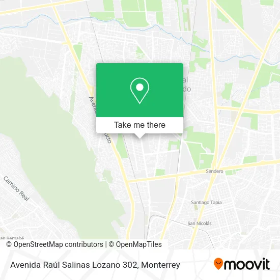 Mapa de Avenida Raúl Salinas Lozano 302
