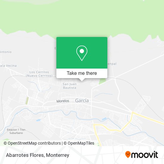 Abarrotes Flores map