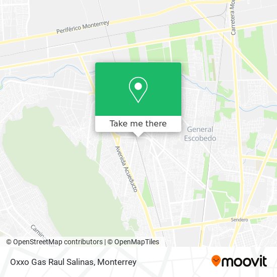 Oxxo Gas Raul Salinas map