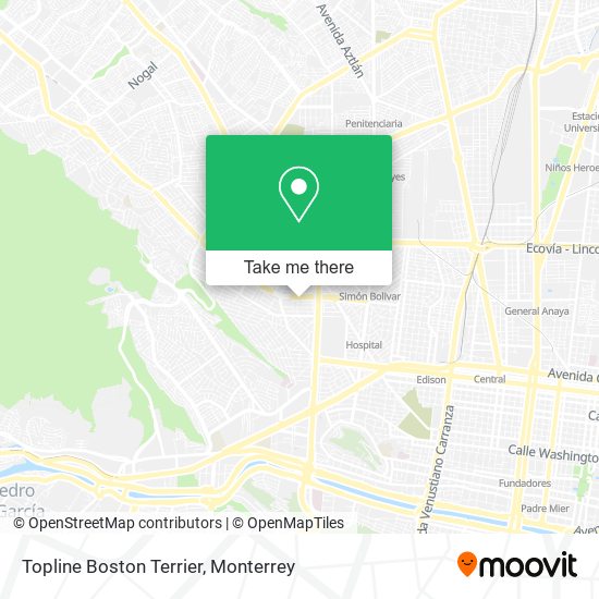 Topline Boston Terrier map