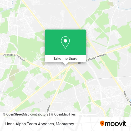 Lions Alpha Team Apodaca map