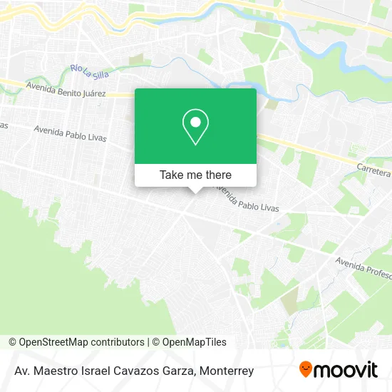 Av. Maestro Israel Cavazos Garza map