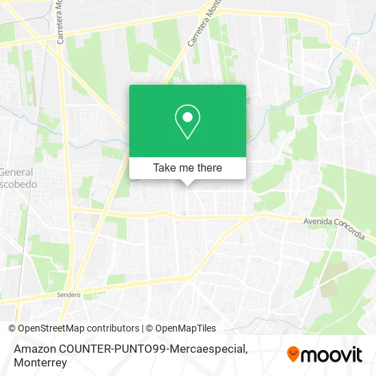Amazon COUNTER-PUNTO99-Mercaespecial map