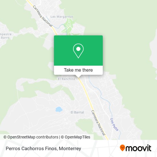 Mapa de Perros Cachorros Finos