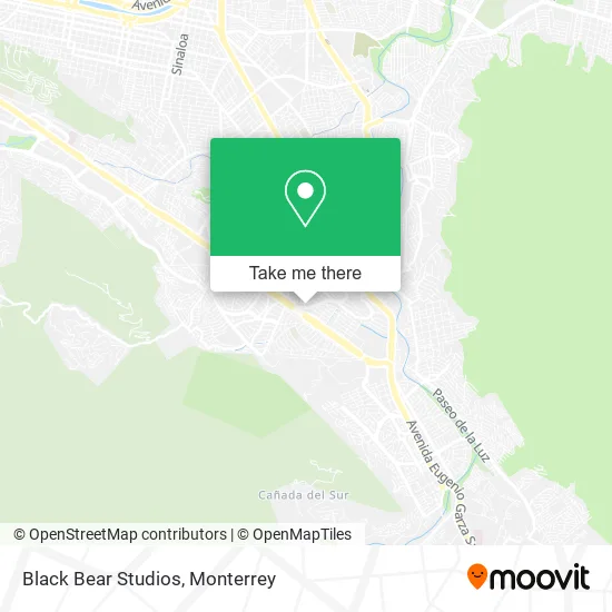 Black Bear Studios map