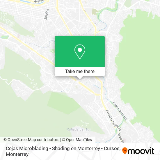 Mapa de Cejas Microblading - Shading en Monterrey - Cursos