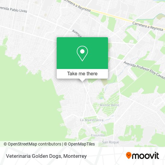 Veterinaria Golden Dogs map