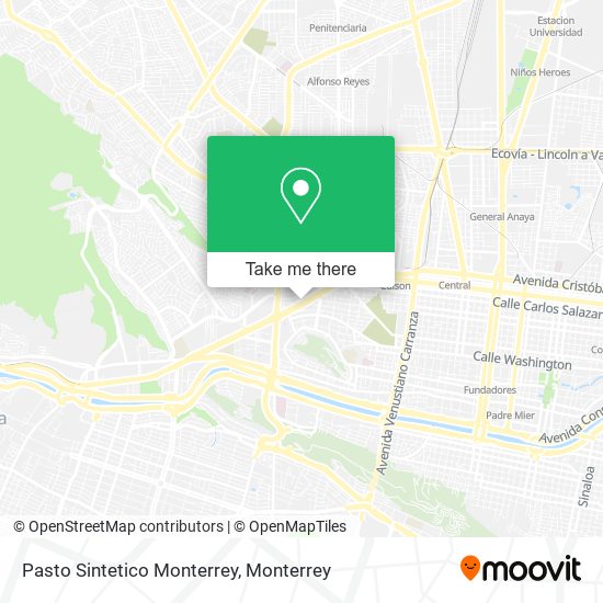 Mapa de Pasto Sintetico Monterrey