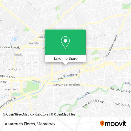 Mapa de Abarrotes Flores