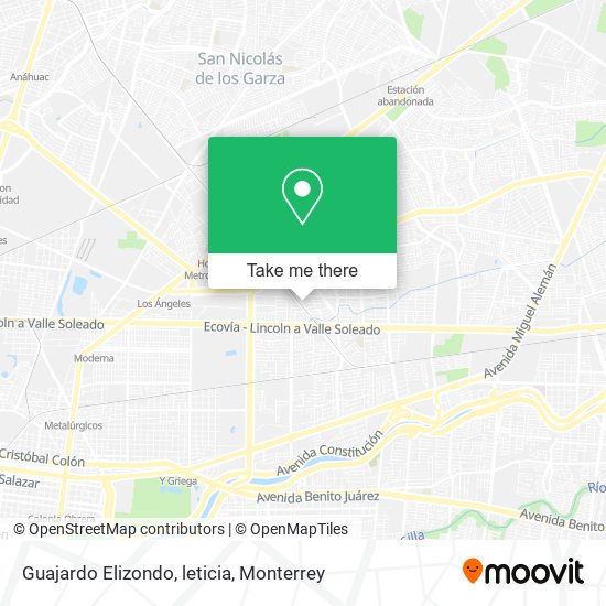 Guajardo Elizondo, leticia map
