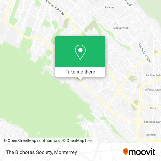 The Bichotas Society map