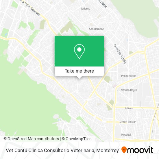 Vet Cantú Clínica Consultorio Veterinaria map