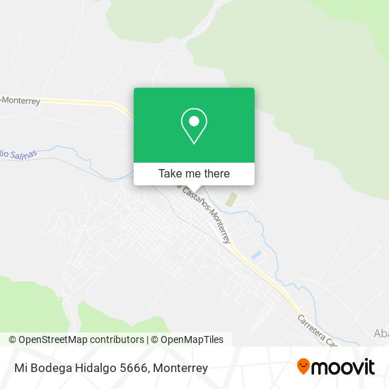 Mi Bodega Hidalgo 5666 map