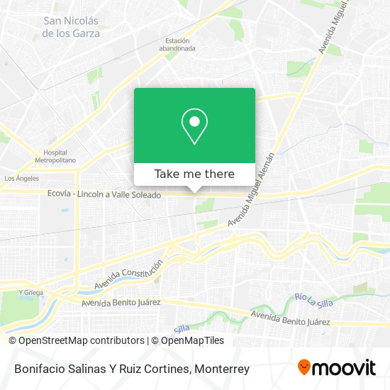 Bonifacio Salinas Y Ruiz Cortines map