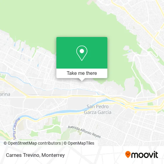 Carnes Trevino map