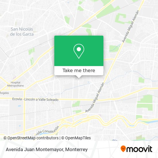 Avenida Juan Montemayor map