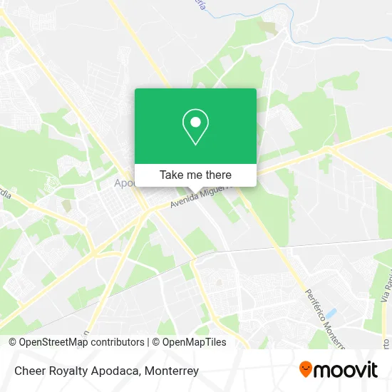 Cheer Royalty Apodaca map