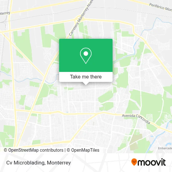Cv Microblading map