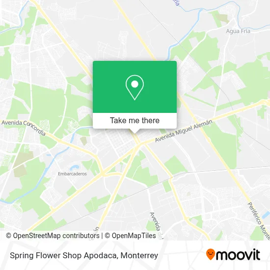 Spring Flower Shop Apodaca map