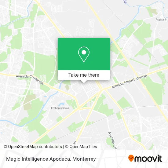 Magic Intelligence Apodaca map