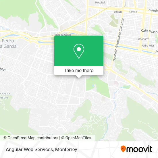 Angular Web Services map