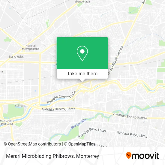 Merari Microblading Phibrows map