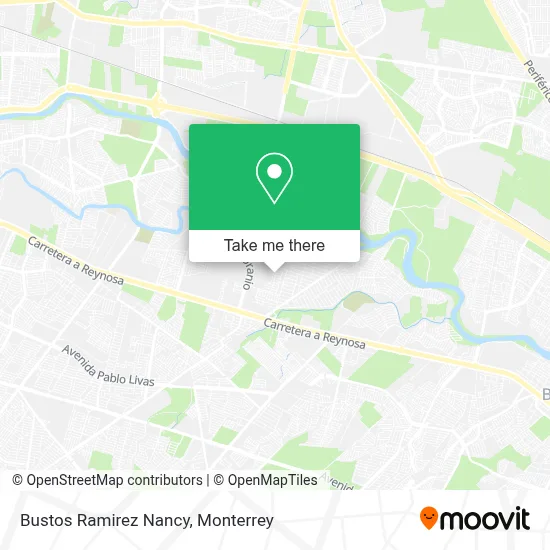 Bustos Ramirez Nancy map