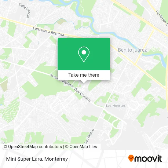 Mini Super Lara map