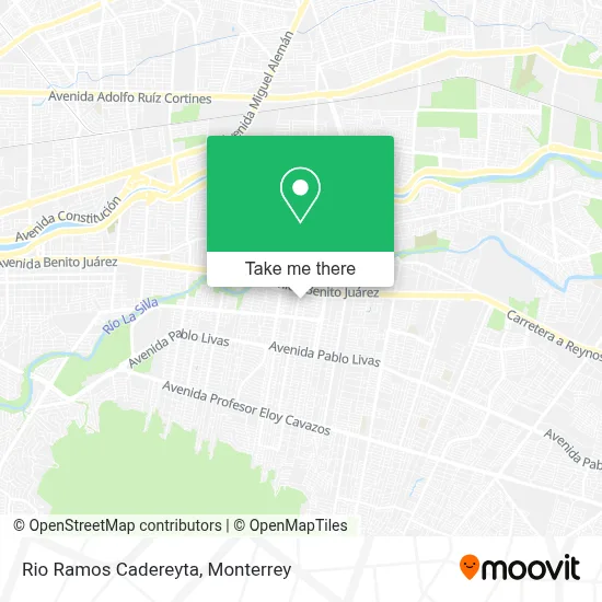 Rio Ramos Cadereyta map